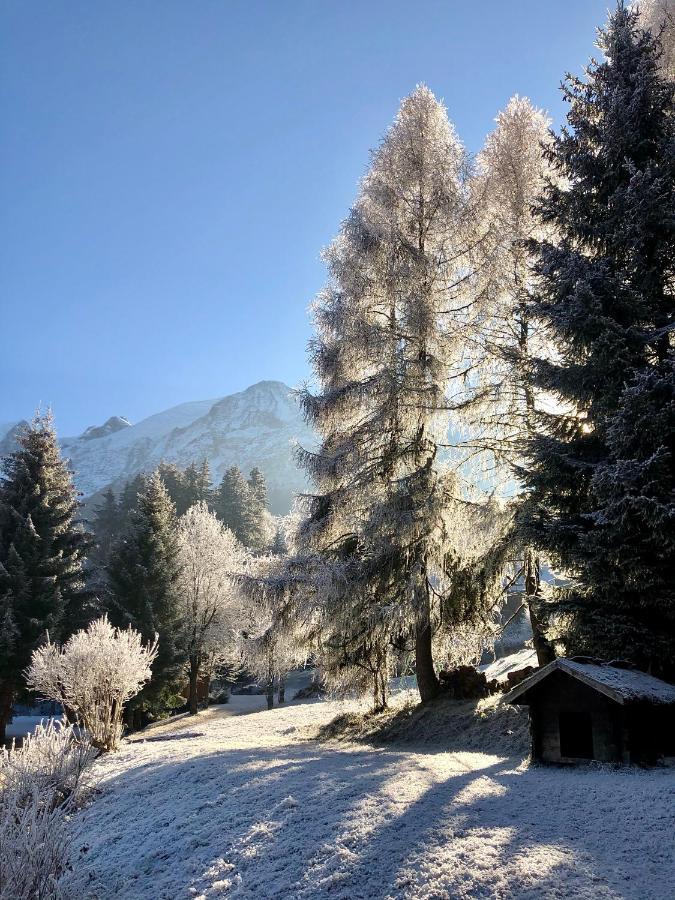 Chambres D'Hotes - B&B - Chalet Mountain Vibes Ле Уш Екстериор снимка